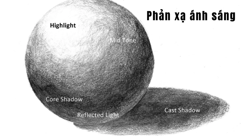 Phản xạ ánh sáng làm nổi bật vùng bóng tối