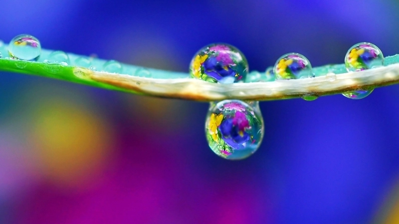  Phản xạ toàn phần trong giọt nước giữ ánh sáng để hình thành cầu vồng