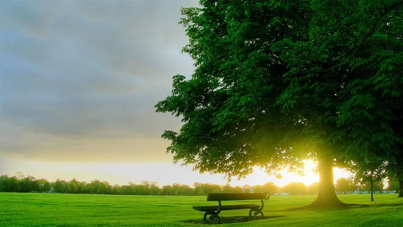 Tận hưởng buổi sáng đẹp với ảnh phong cảnh bình yên