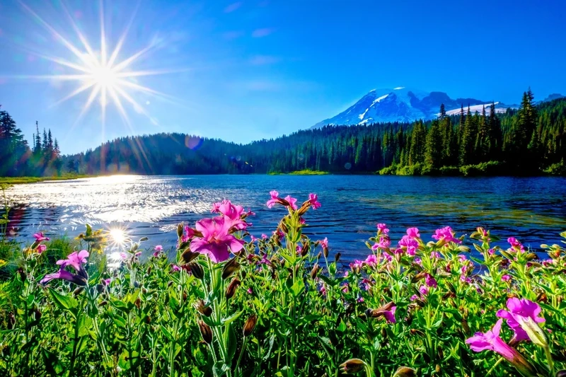 Vẽ nên giấc mơ thư giãn với tranh phong cảnh bình yên