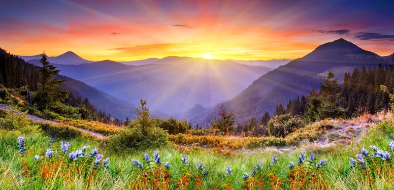 Tạo không gian thư giãn với hình nền phong cảnh hoàng hôn đẹp