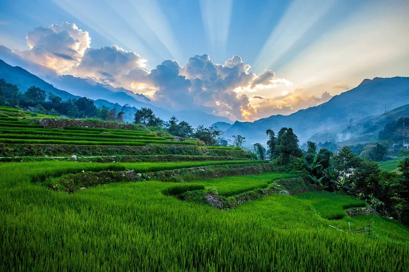 Khám phá đồi núi hùng vĩ qua tranh phong cảnh đồi núi