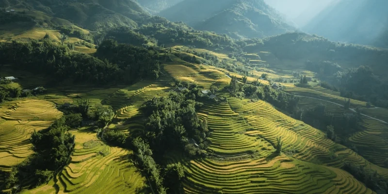 Trang trí máy tính với hình nền phong cảnh núi sinh động