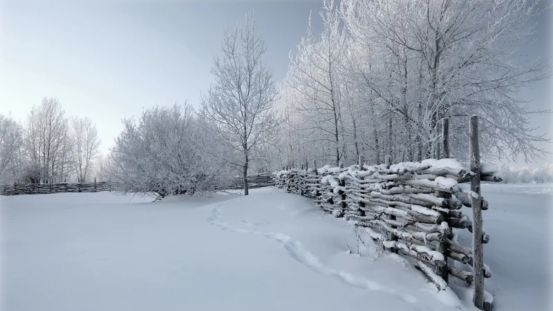 Lưu giữ kỷ niệm với ảnh phong cảnh mùa đông đẹp