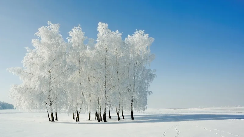 Biến màn hình bạn với hình nền phong cảnh mùa đông tuyết đẹp