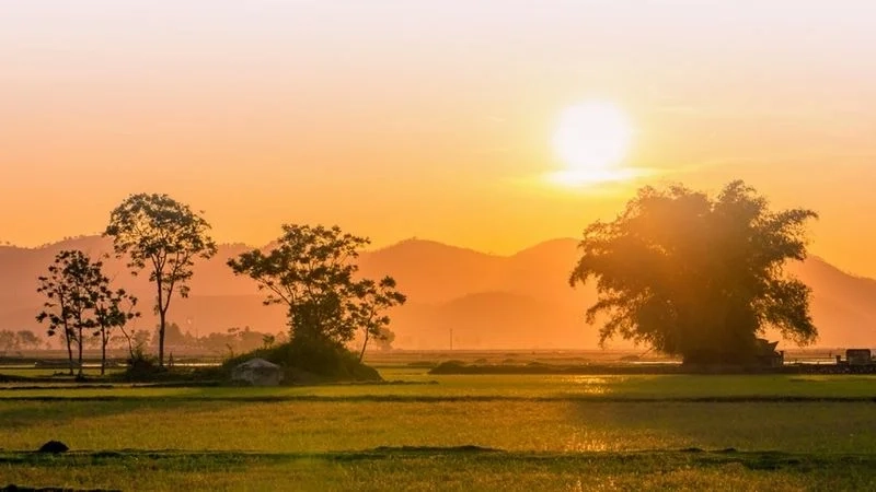 Tận hưởng sự giản dị trong tranh phong cảnh quê hương đơn giản