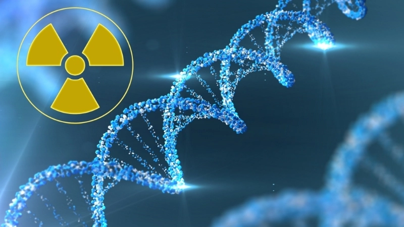  Phóng xạ gây tổn thương DNA, ảnh hưởng nghiêm trọng đến sức khỏe con người