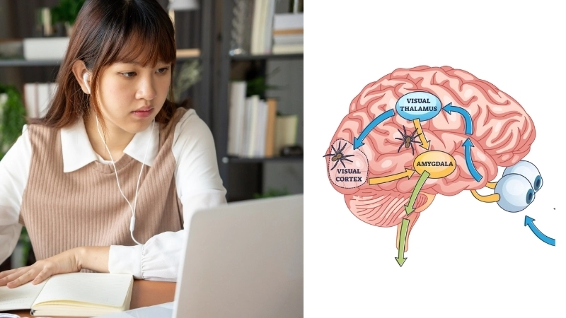  Quá trình học tập và ghi nhớ là một phần quan trọng của sinh học cơ thể con người