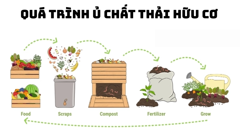 Quá trình ủ chất thải hữu cơ để tạo ra phân bón compost