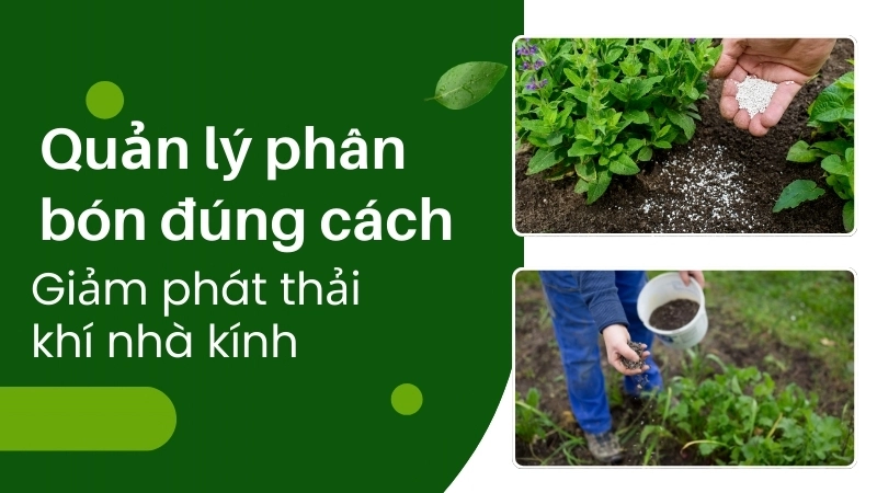 Quản lý phân bón đúng cách giúp giảm phát thải khí nhà kính từ hoạt động nông nghiệp