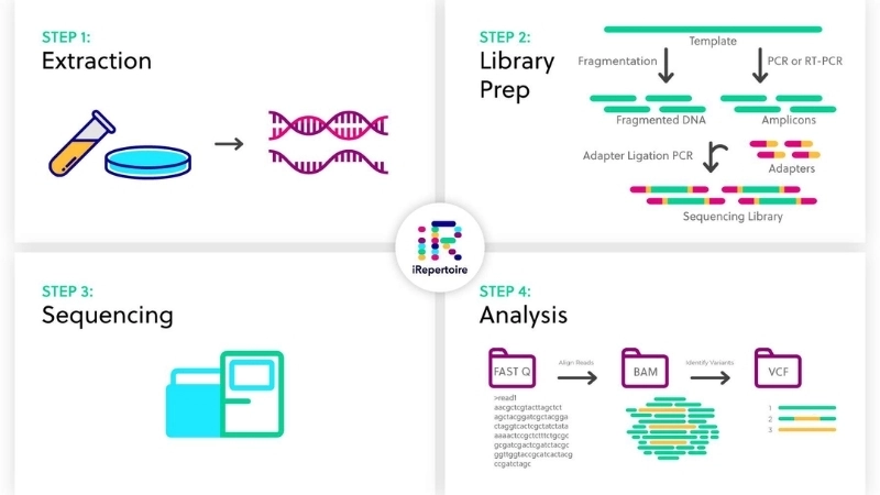  Quy trình next-generation sequencing (NGS) trong phòng thí nghiệm