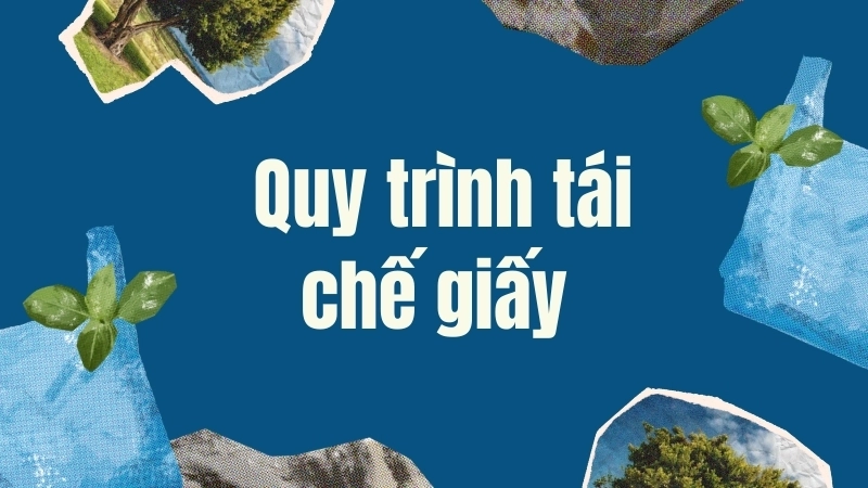  Quy trình tái chế giấy trong mô hình kinh tế tuần hoàn