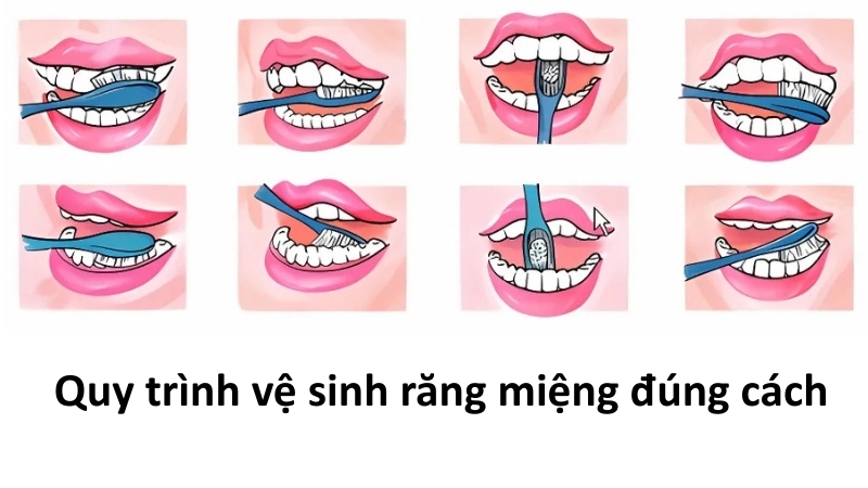  Quy trình vệ sinh răng miệng chuẩn giúp ngăn ngừa đau răng