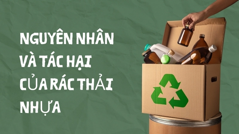 Nguyên nhân và tác hại của rác thải nhựa