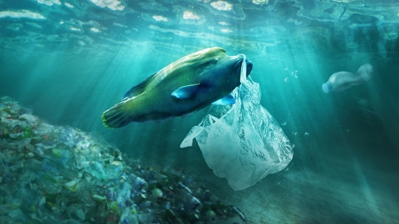 Rác thải nhựa là một trong những nguyên nhân gây ô nhiễm nước biển