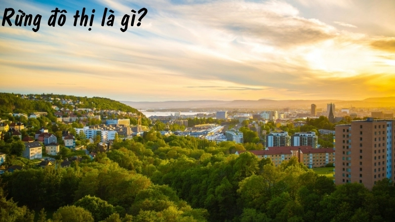 Rừng đô thị là gì?