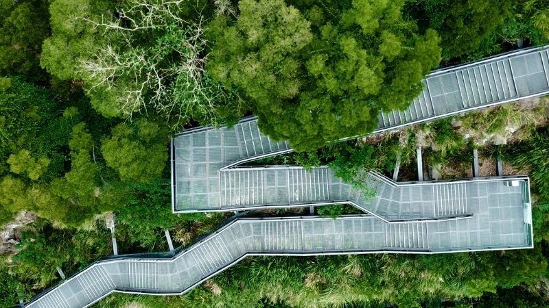 Lợi ích của rừng đô thị