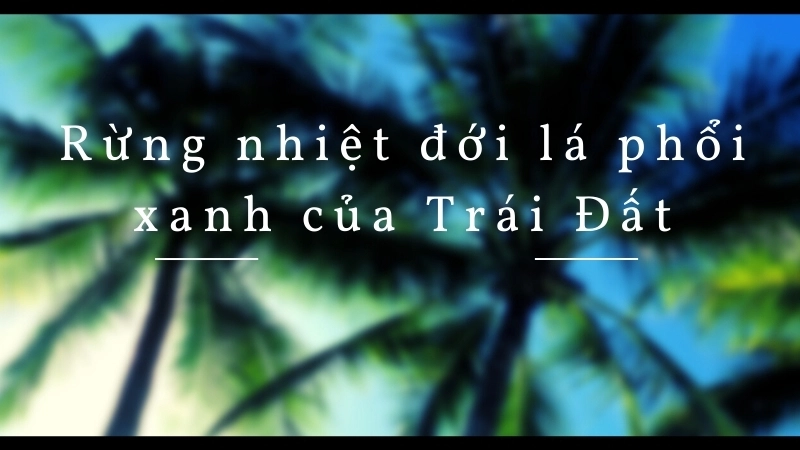 Rừng nhiệt đới lá phổi xanh của Trái Đất