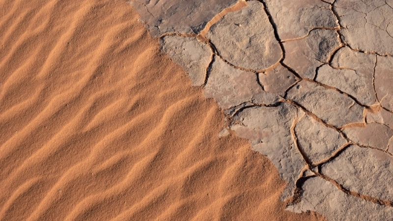 Các biện pháp phòng chống sa mạc hóa hiệu quả