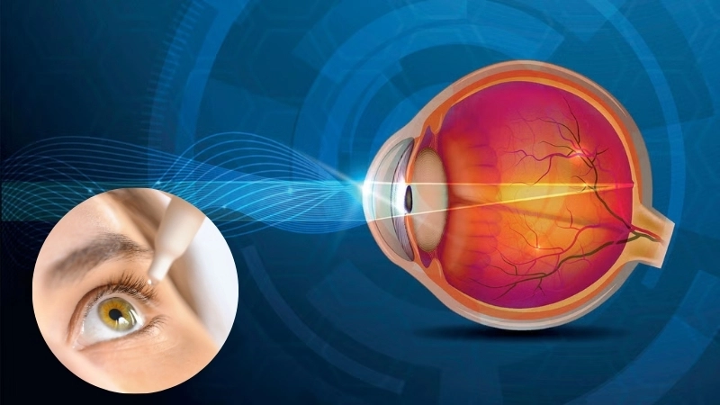  Sinh học cơ thể cho chúng ta hai mắt để phán đoán khoảng cách chính xác