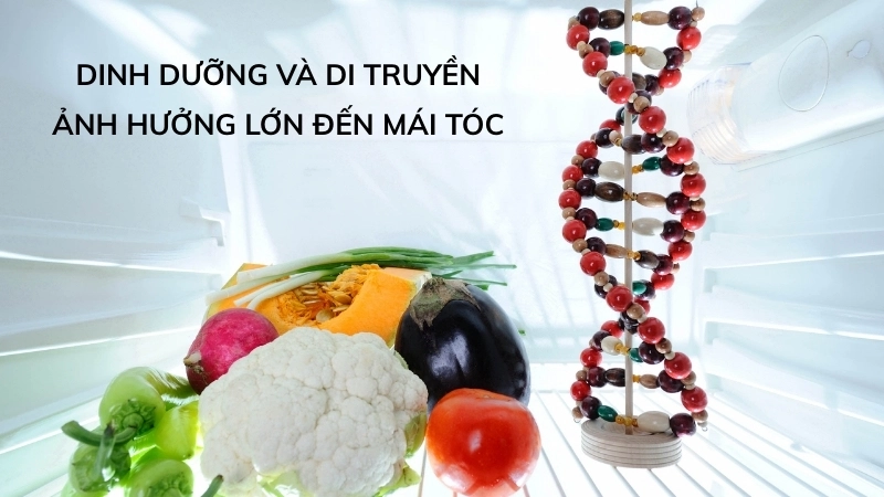  Sinh học cơ thể cho thấy dinh dưỡng và di truyền ảnh hưởng lớn đến mái tóc