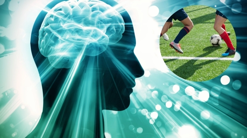  Sinh học cơ thể cho thấy não bộ điều khiển mọi chuyển động phức tạp