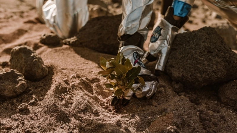 Mục tiêu nghiên cứu của sinh học vũ trụ