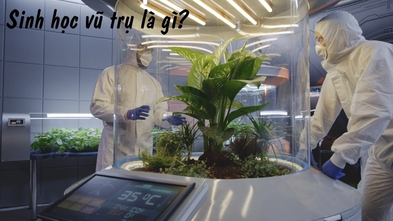 Sinh học vũ trụ là gì?