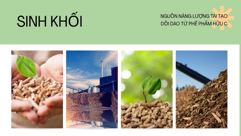  Sinh khối là nguồn năng lượng tái tạo dồi dào từ phế phẩm hữu cơ