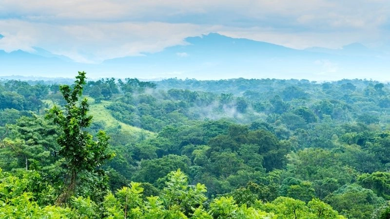 Ảnh hưởng đến tài nguyên thiên nhiên