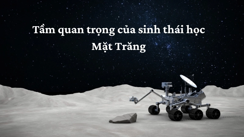 Tầm quan trọng của sinh thái học Mặt Trăng