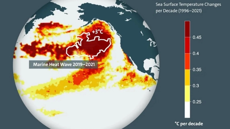 Sinh thái học nghiên cứu tác động của nhiệt độ lên đời sống thủy sinh