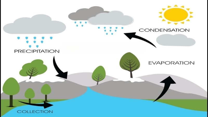 Sơ đồ minh họa các giai đoạn chính của chu trình nước trong tự nhiên