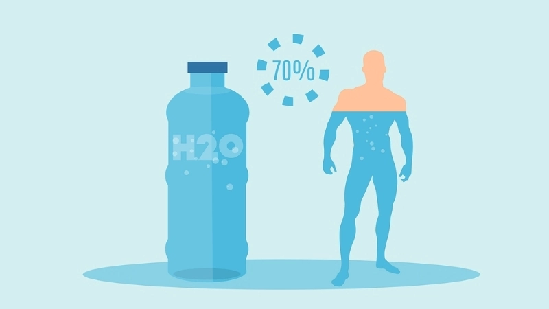 Sơ đồ minh họa vai trò của nước đối với từng tế bào và cơ quan trong sinh học cơ thể con người