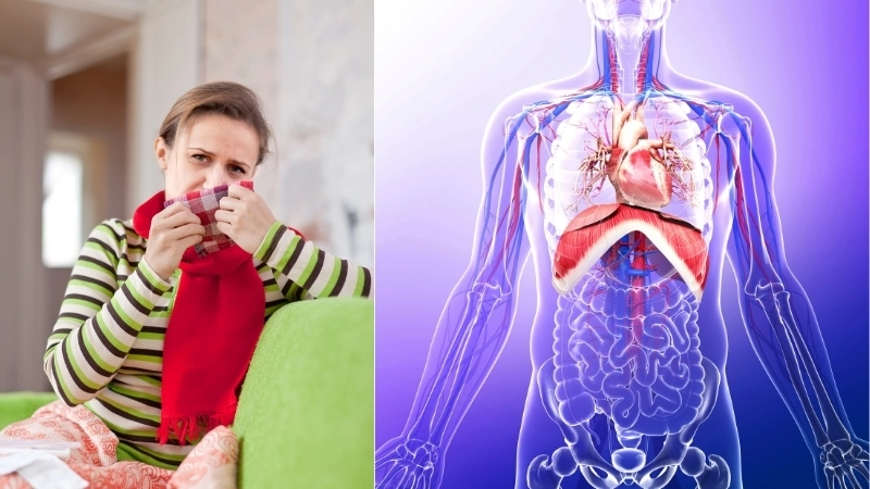  Sơ đồ phản xạ nấc liên quan đến hệ thần kinh và cơ hoành