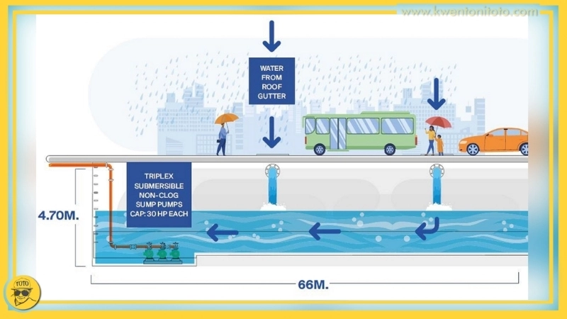  So sánh độ trong của nước mưa và nước sông sau một thí nghiệm nước đơn giản