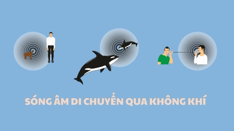  Sóng âm di chuyển qua không khí trong nghiên cứu âm thanh học