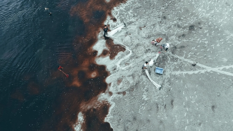 Sự cố tràn dầu gây ô nhiễm nước biển trên quy mô lớn