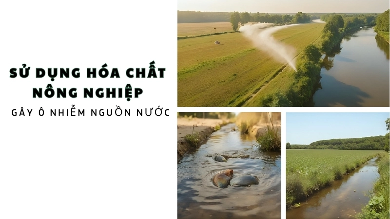 Sử dụng hóa chất nông nghiệp quá mức gây ô nhiễm nguồn nước