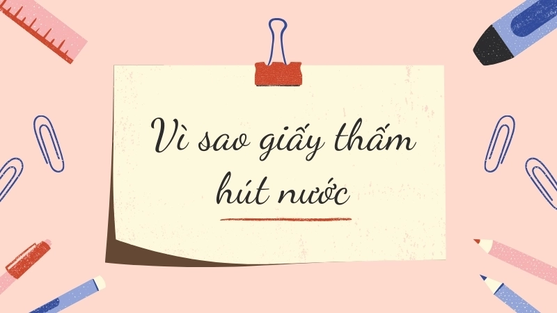 Sự kết hợp của 2 lực giúp giấy  thấm hút nước