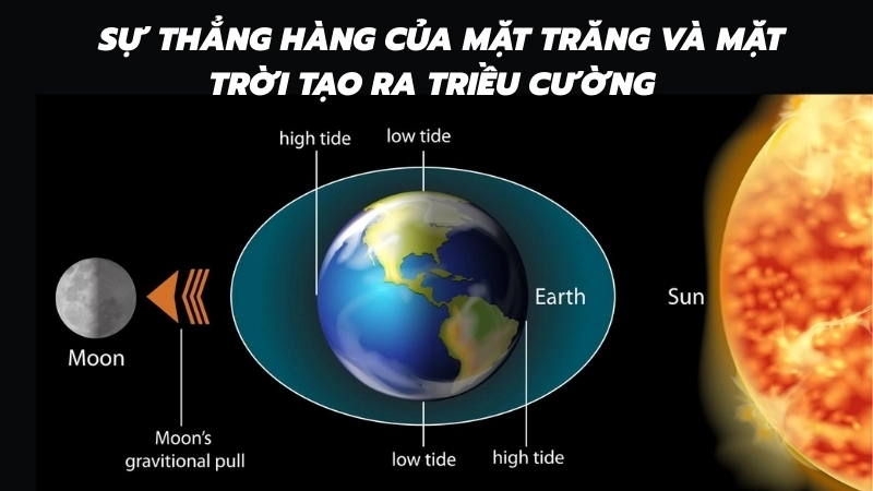  Sự thẳng hàng của Mặt Trăng và Mặt Trời tạo ra triều cường 