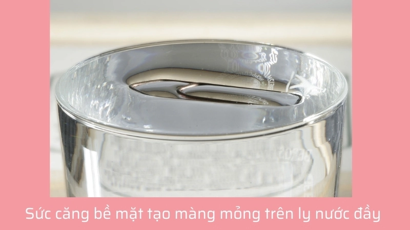  Sức căng bề mặt tạo màng mỏng trên ly nước đầy