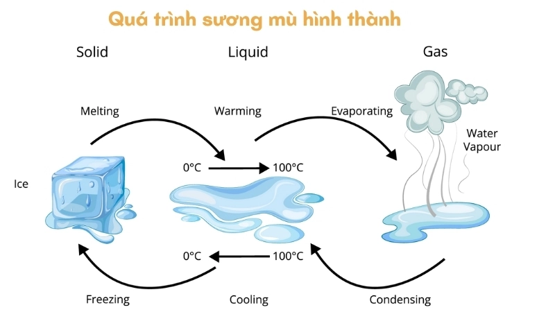  Sương mù hình thành do ngưng tụ hơi nước trong khí quyển