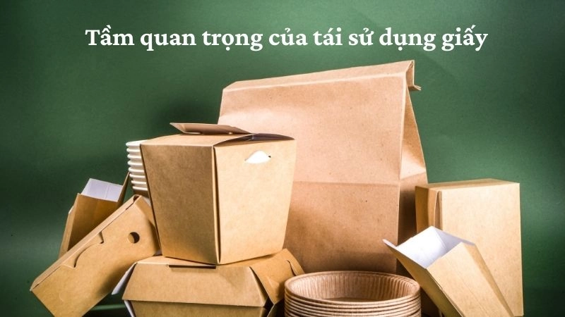 Tầm quan trọng của tái sử dụng giấy