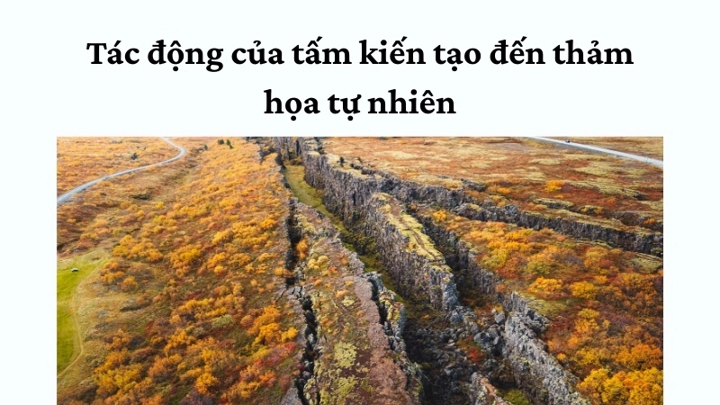 Tác động của tấm kiến tạo đến thảm họa tự nhiên