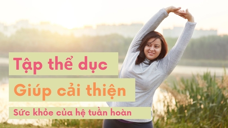 Tập thể dục thường xuyên giúp cải thiện sức khỏe của hệ tuần hoàn