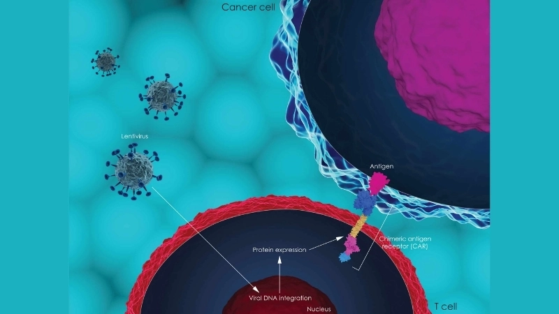  Tế bào CAR-T được tạo ra từ liệu pháp gen đang tấn công tế bào ung thư