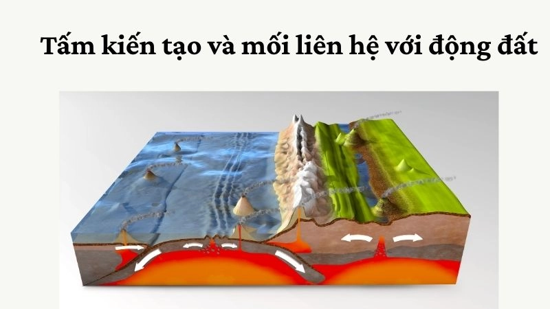 Tấm kiến tạo và mối liên hệ với động đất