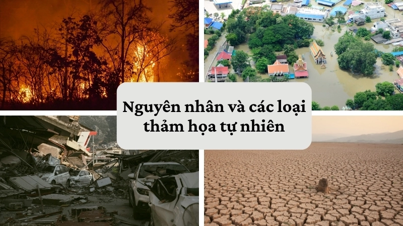 Nguyên nhân và các loại thảm họa tự nhiên