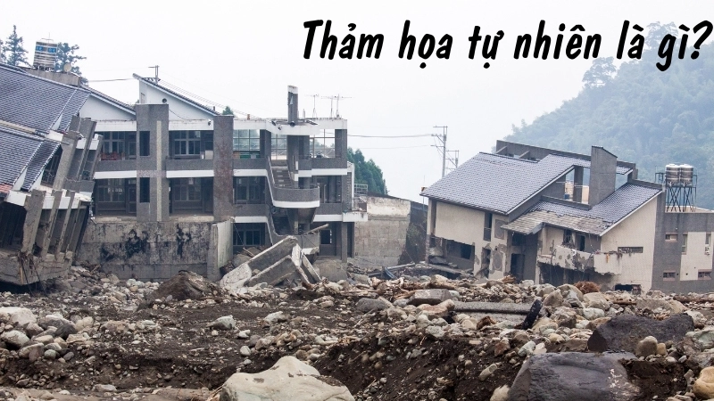 Thảm họa tự nhiên là gì?